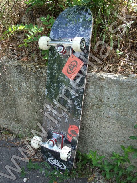 Image of Extreme SkateBoard Frenzy (IT4614)